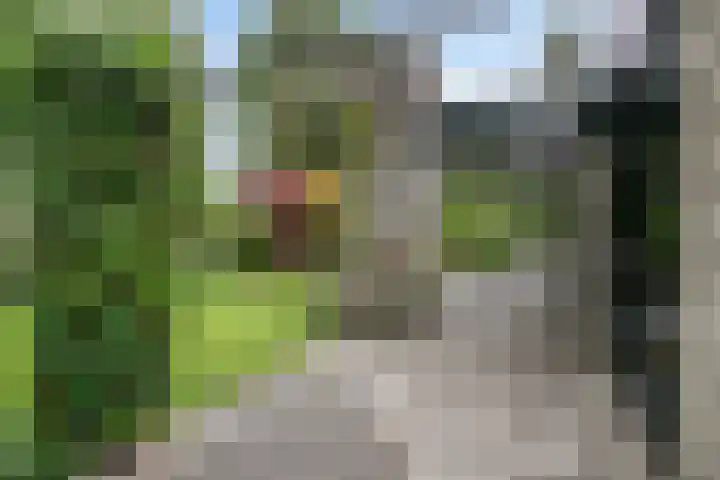Zuidwinde 6 Steenbergen thumbnail 68