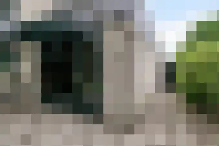 Zuidwinde 6 Steenbergen thumbnail 69