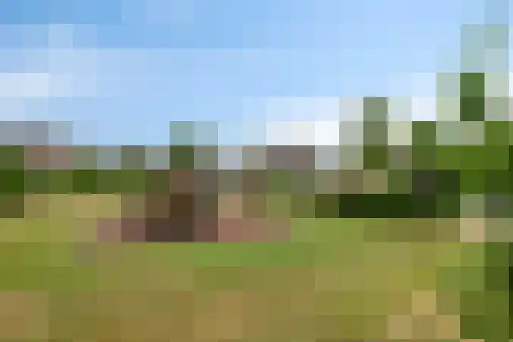 Zuidwinde 6 Steenbergen thumbnail 80