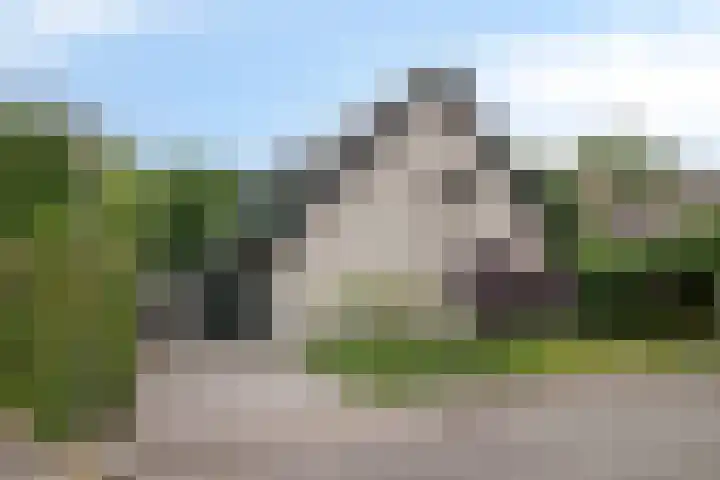 Zuidwinde 6 Steenbergen thumbnail 86