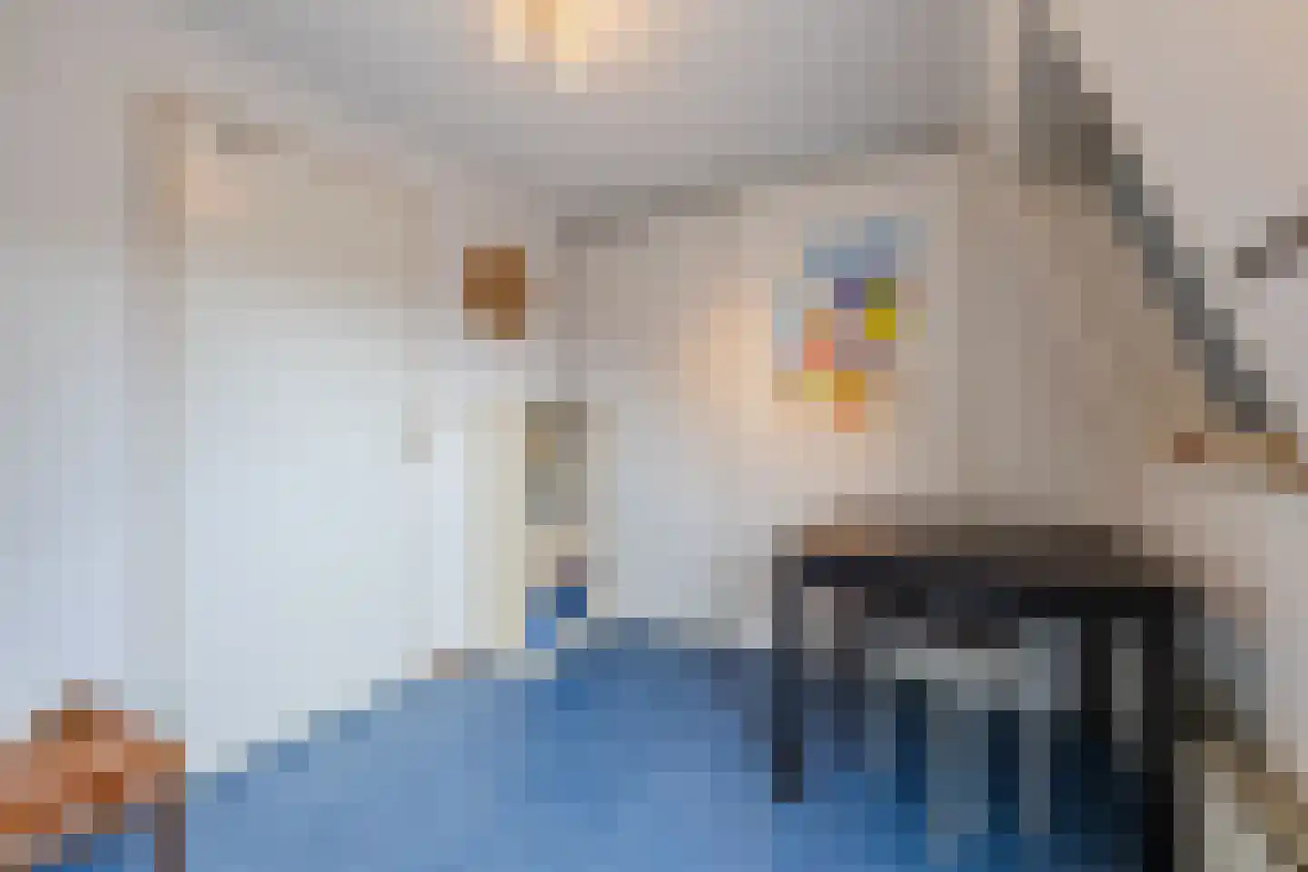 Zuidwoldigerweg 12 Hoogeveen thumbnail 34