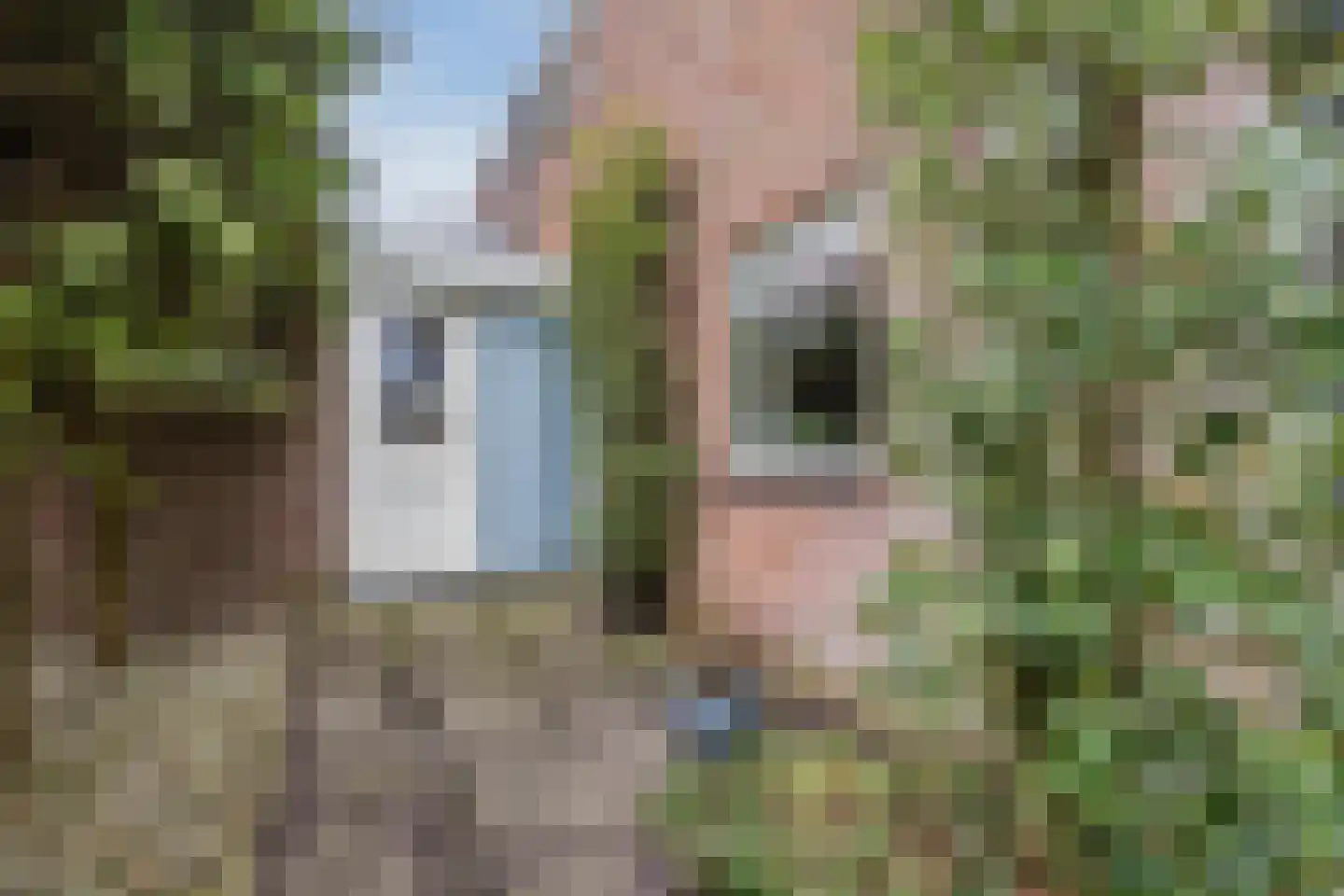 Zuidwoldigerweg 16 Hoogeveen thumbnail 33