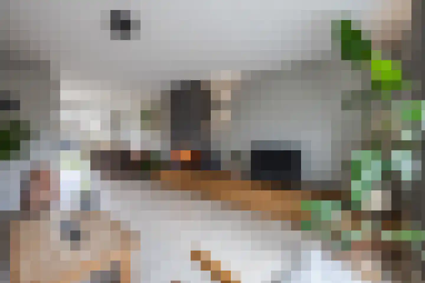 Zuidwoldigerweg 16 Hoogeveen thumbnail 4