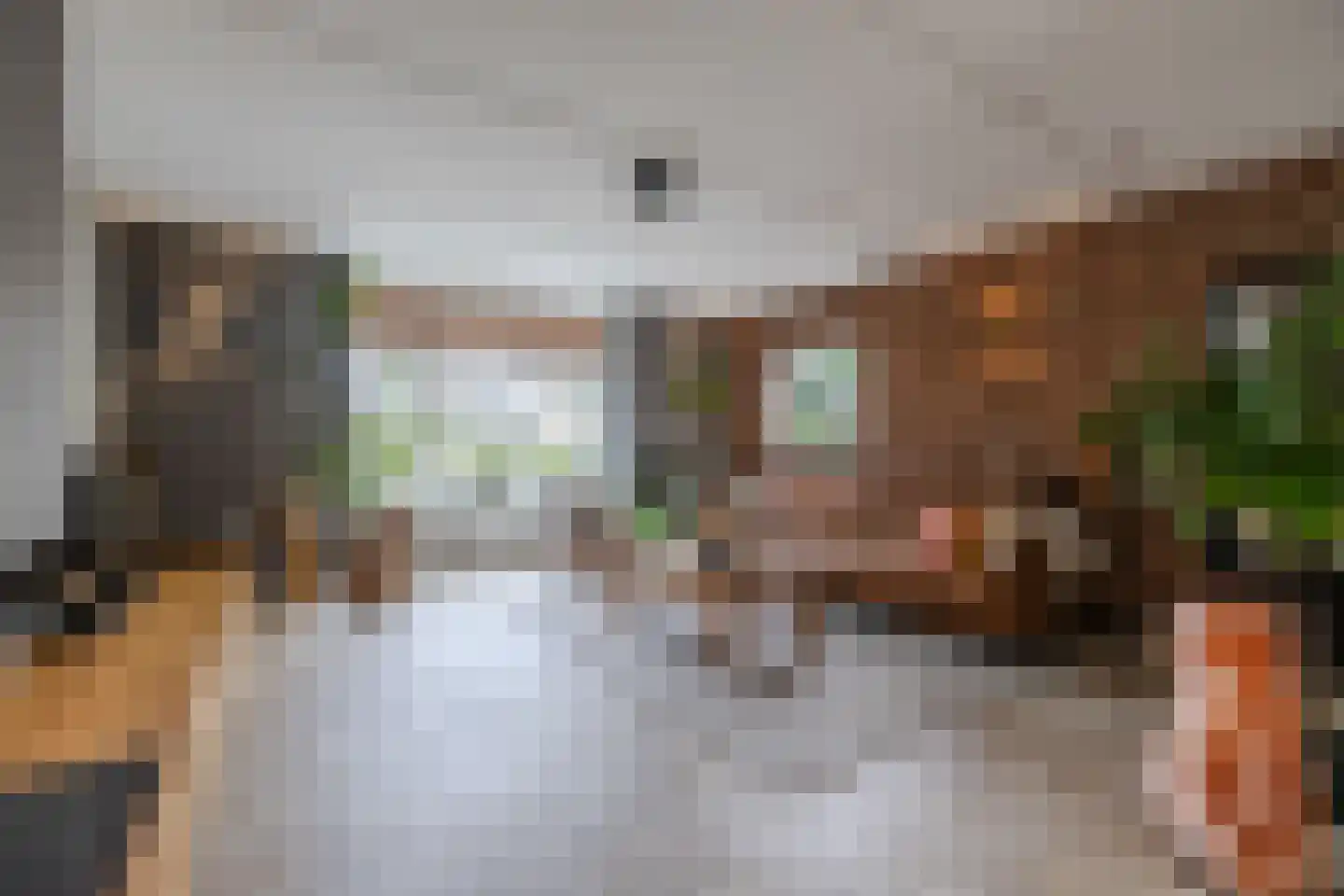 Zuidwoldigerweg 16 Hoogeveen thumbnail 5