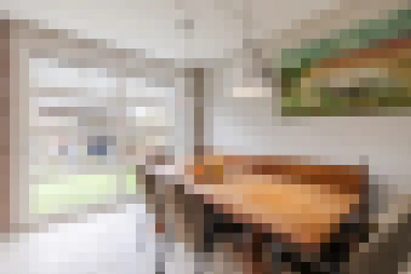 Zuidwoldigerweg 16 Hoogeveen thumbnail 6