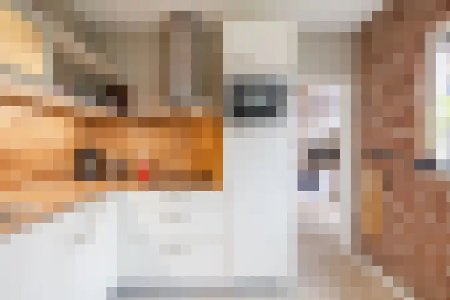 Zuidwoldigerweg 16 Hoogeveen thumbnail 8