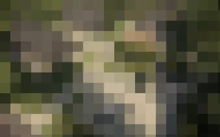 Zuidwoldigerweg 2 Hoogeveen thumbnail 7