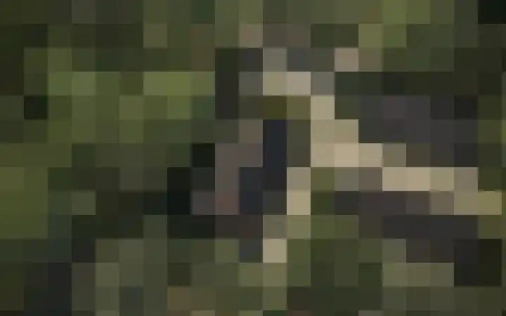 Zuidwoldigerweg 2 Hoogeveen thumbnail 8