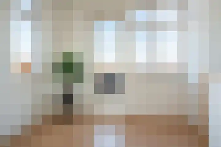Zuidwoldigerweg 65 Hoogeveen thumbnail 34