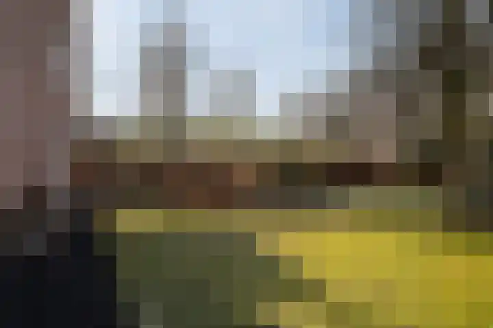 Zuidwoldigerweg 65 Hoogeveen thumbnail 40