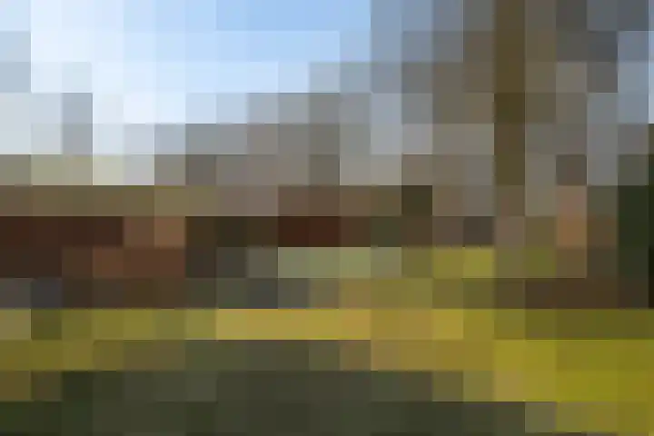 Zuidwoldigerweg 65 Hoogeveen thumbnail 41