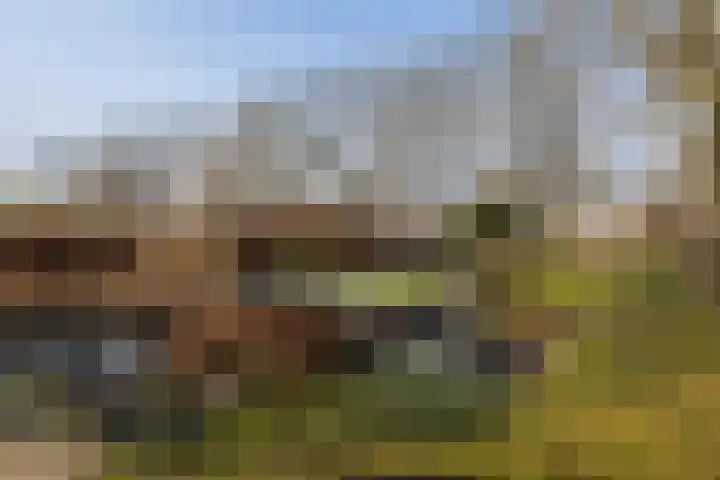 Zuidwoldigerweg 65 Hoogeveen thumbnail 42