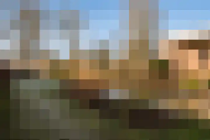Zuidwoldigerweg 65 Hoogeveen thumbnail 44