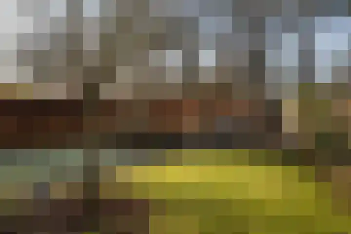 Zuidwoldigerweg 65 Hoogeveen thumbnail 46