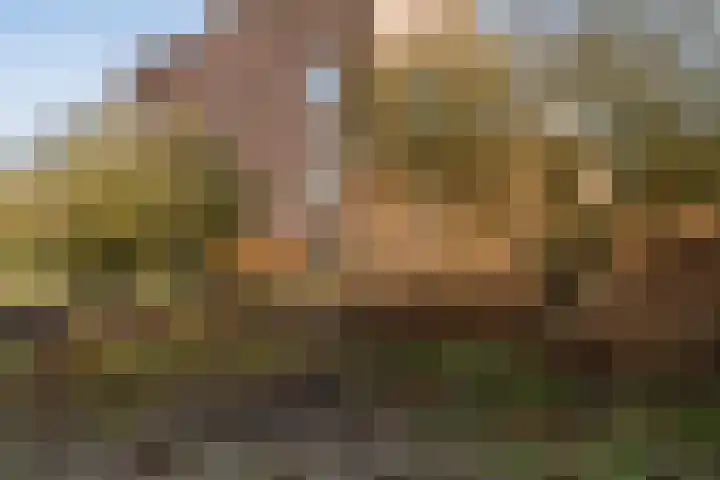 Zuidwoldigerweg 65 Hoogeveen thumbnail 49