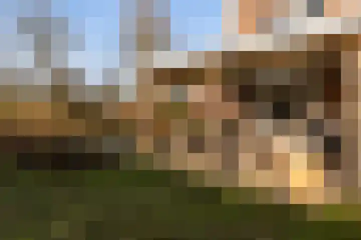 Zuidwoldigerweg 65 Hoogeveen thumbnail 52