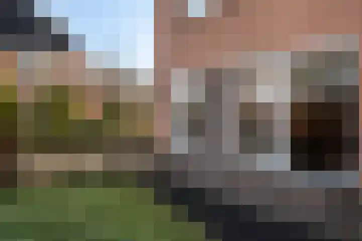 Zuidwoldigerweg 65 Hoogeveen thumbnail 65