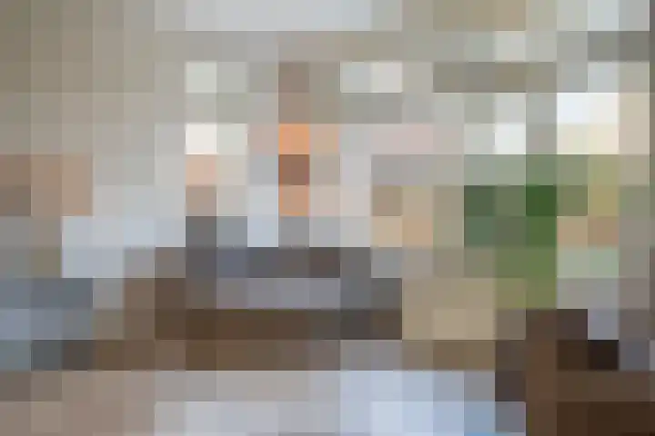 Zuidwoldigerweg 65 Hoogeveen thumbnail 8