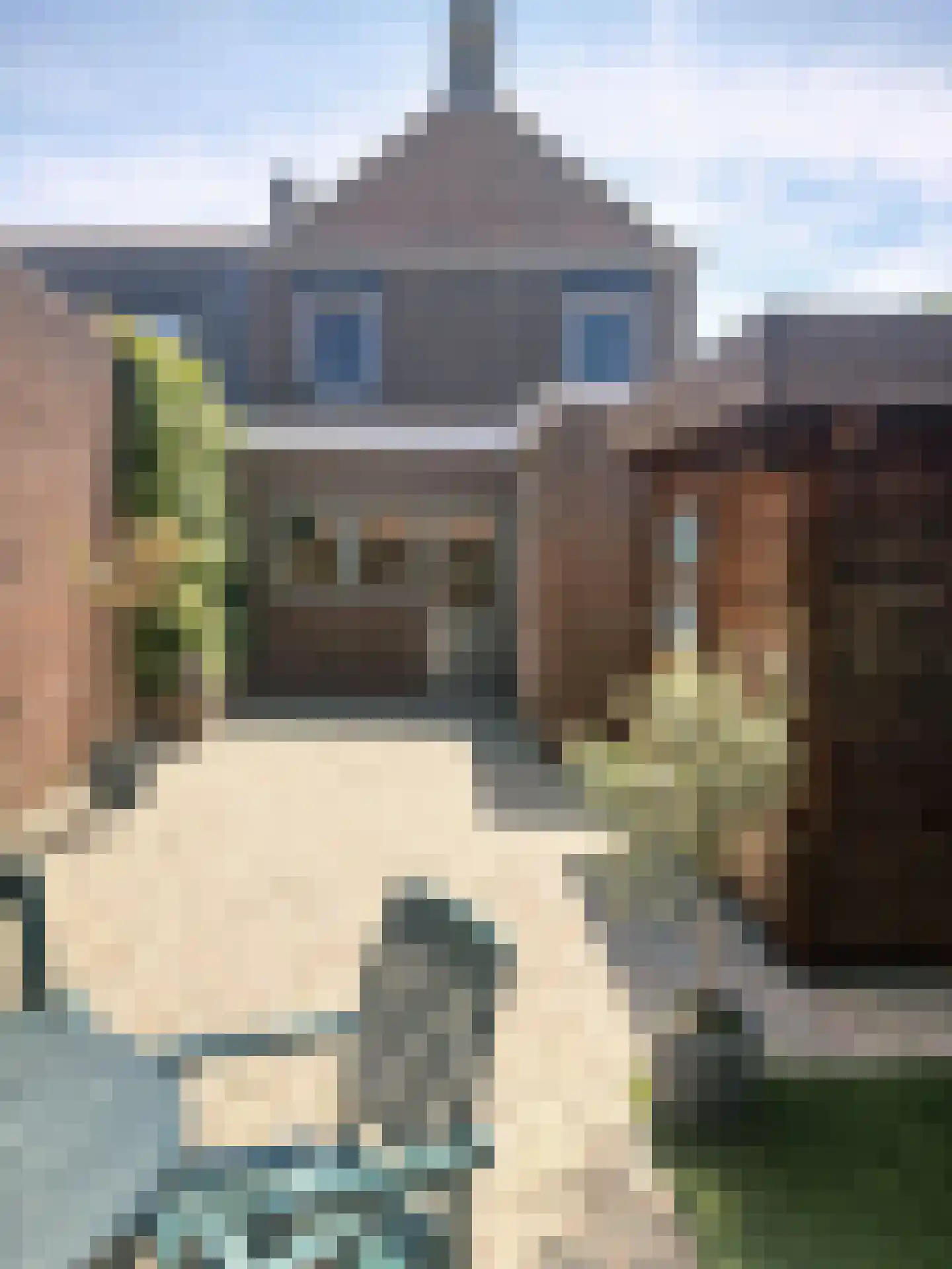Zuidzandsestraat 26 Oostburg thumbnail 28