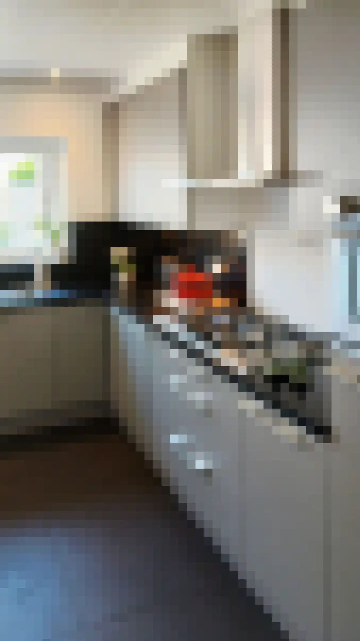 Zuidzandsestraat 26 Oostburg thumbnail 7