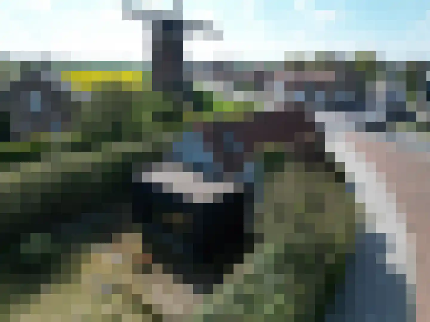 Zuidzandseweg 1 Cadzand thumbnail 4