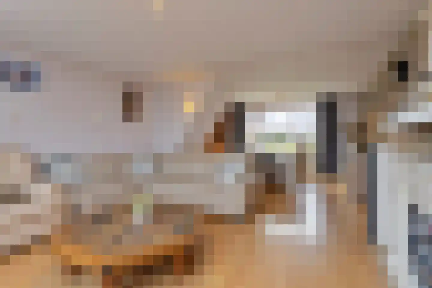 Zuidzandseweg 18 Cadzand thumbnail 7