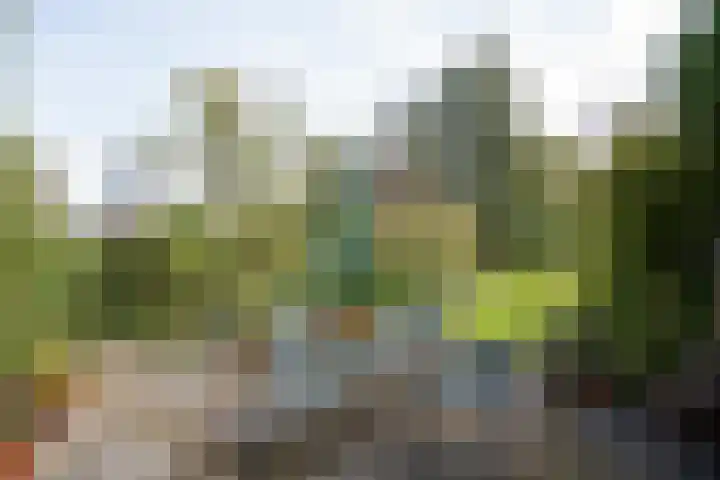 Zuidzijde 160 Goudriaan thumbnail 52