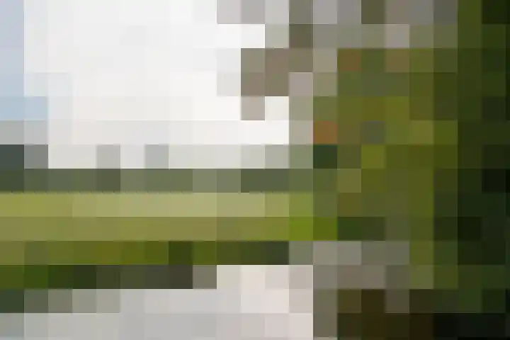 Zuidzijde 160 Goudriaan thumbnail 66