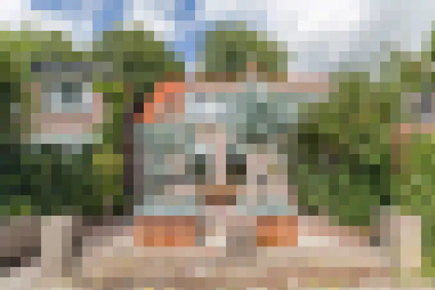 Zuidzijde 25 Bodegraven thumbnail 8