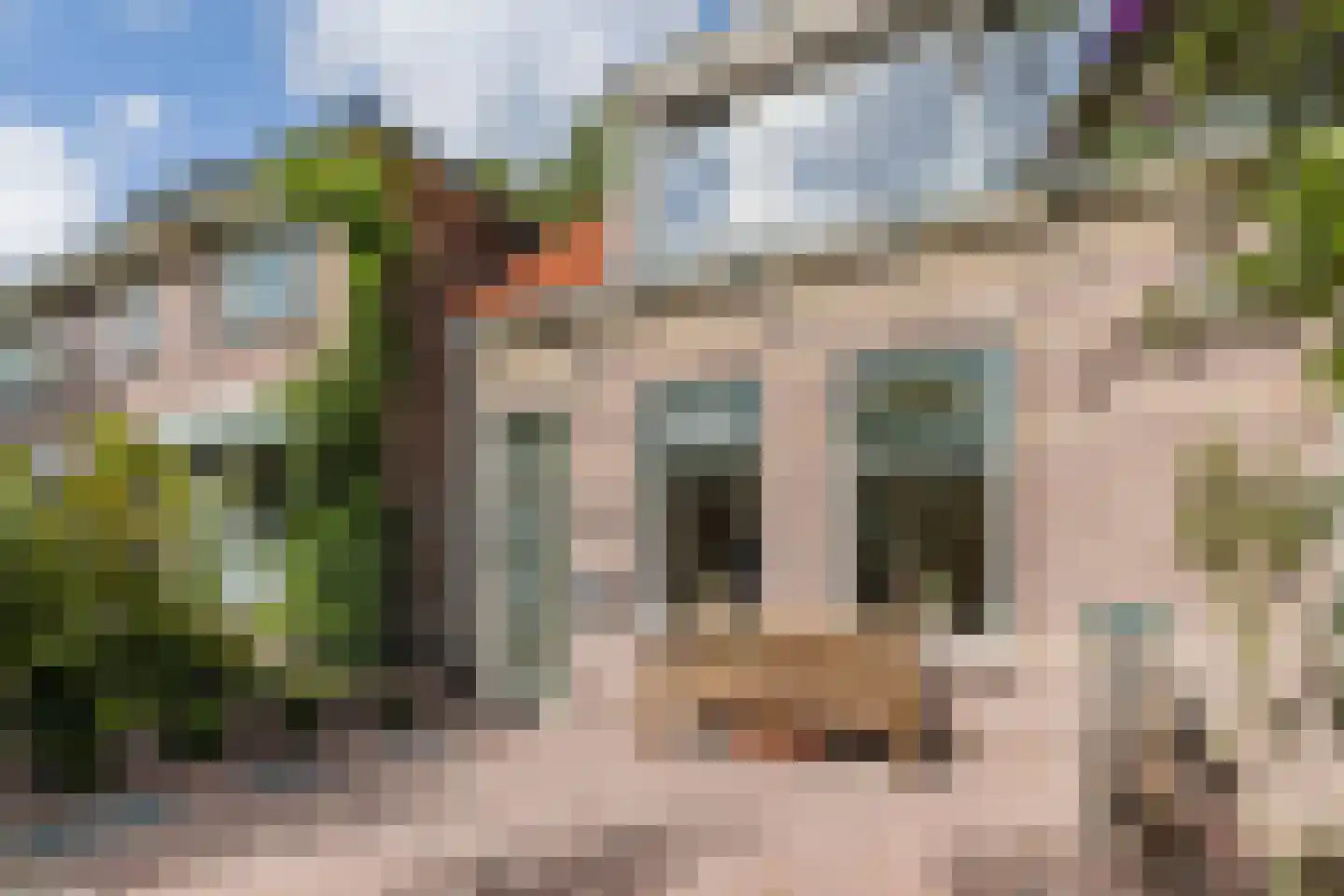 Zuidzijde 25 Bodegraven thumbnail 9