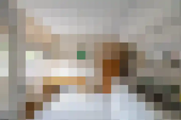 Zuidzijde 26 Gasselternijveenschemond thumbnail 33