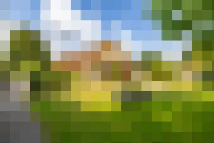 Zuidzijde 26 Gasselternijveenschemond thumbnail 50