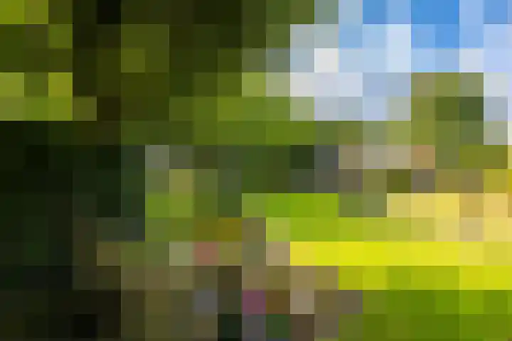 Zuidzijde 26 Gasselternijveenschemond thumbnail 52