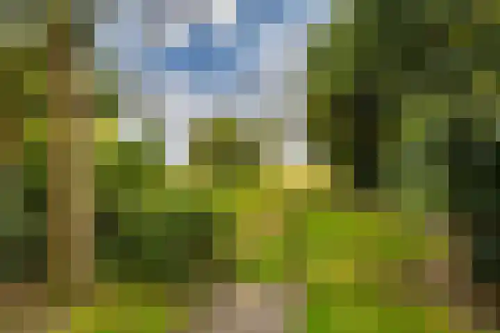 Zuidzijde 26 Gasselternijveenschemond thumbnail 54