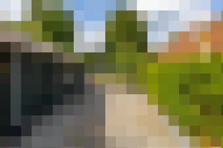 Zuidzijde 26 Gasselternijveenschemond thumbnail 55