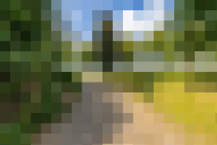 Zuidzijde 26 Gasselternijveenschemond thumbnail 57