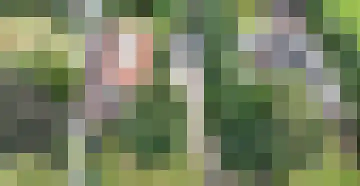Zuidzijde 26 Gasselternijveenschemond thumbnail 61