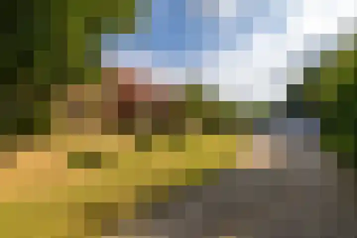Zuidzijde 26 Gasselternijveenschemond thumbnail 9