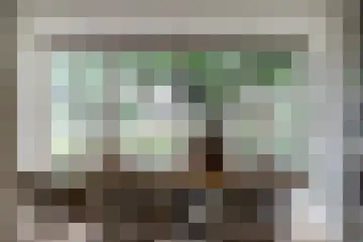 Zuidzijde 39 Bodegraven thumbnail 11