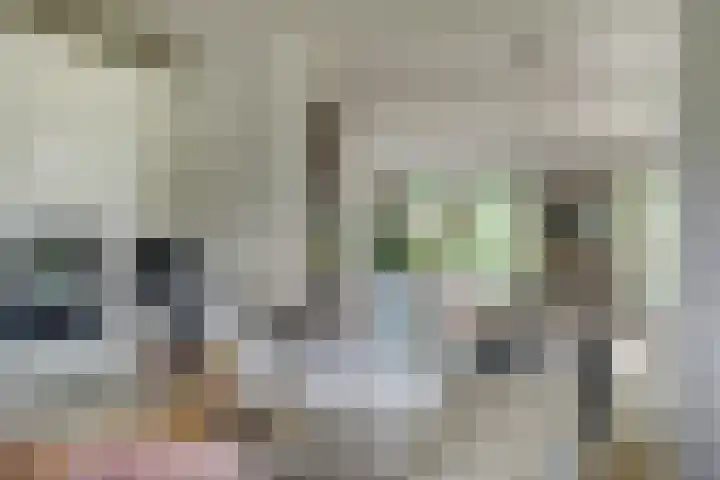 Zuidzijde 39 Bodegraven thumbnail 15