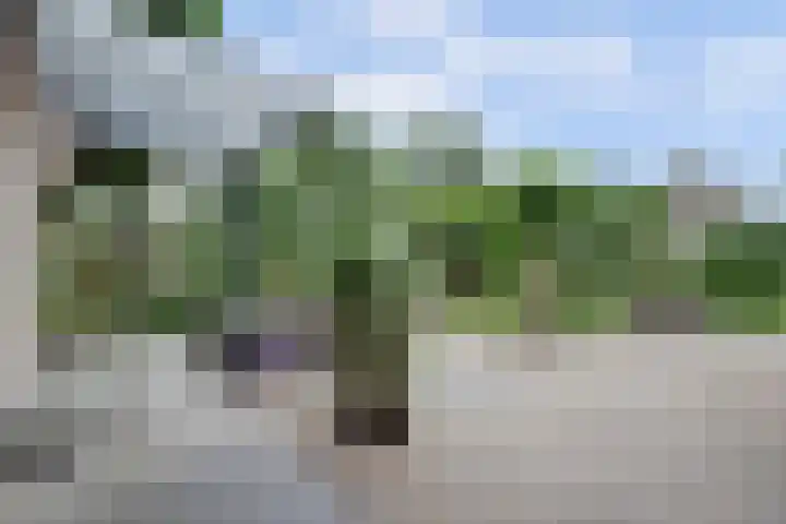 Zuidzijde 39 Bodegraven thumbnail 47