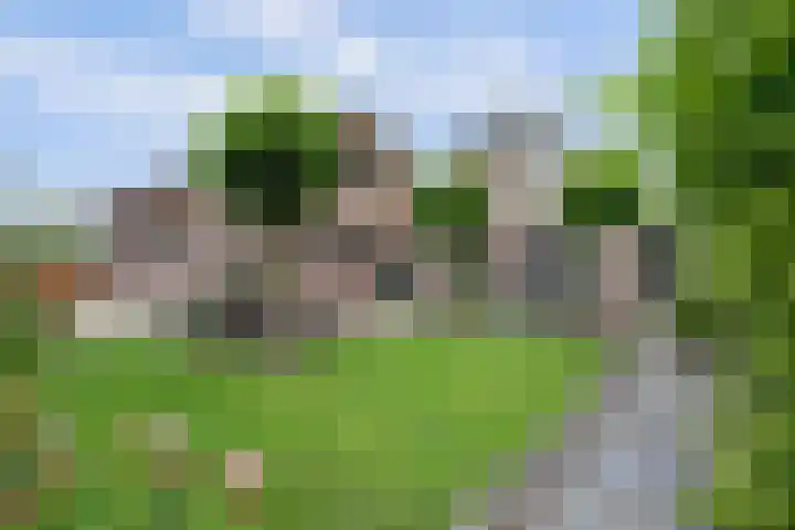 Zuidzijde 39 Bodegraven thumbnail 51