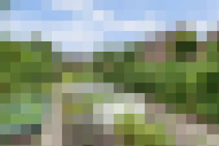 Zuidzijde 39 Bodegraven thumbnail 53