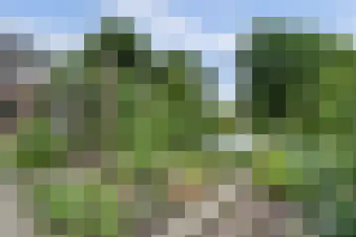 Zuidzijde 39 Bodegraven thumbnail 54