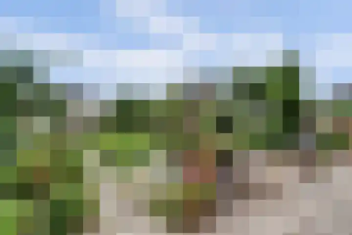 Zuidzijde 39 Bodegraven thumbnail 55