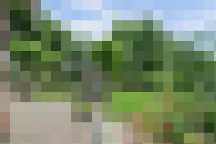 Zuidzijde 39 Bodegraven thumbnail 56