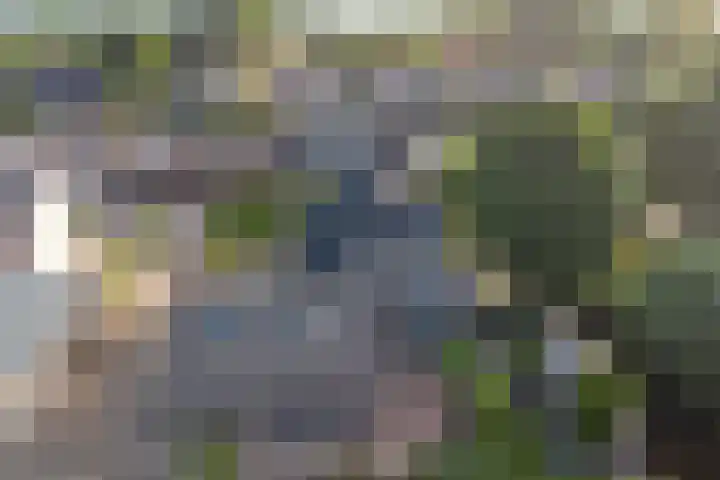 Zuidzijde 39 Bodegraven thumbnail 66