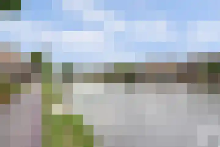 Zuidzijde 39 Bodegraven thumbnail 68