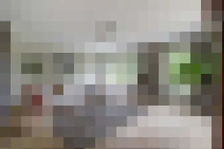 Zuidzijde 39 Bodegraven thumbnail 7