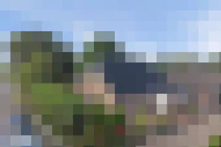 Zuidzijde 39 Bodegraven thumbnail 73